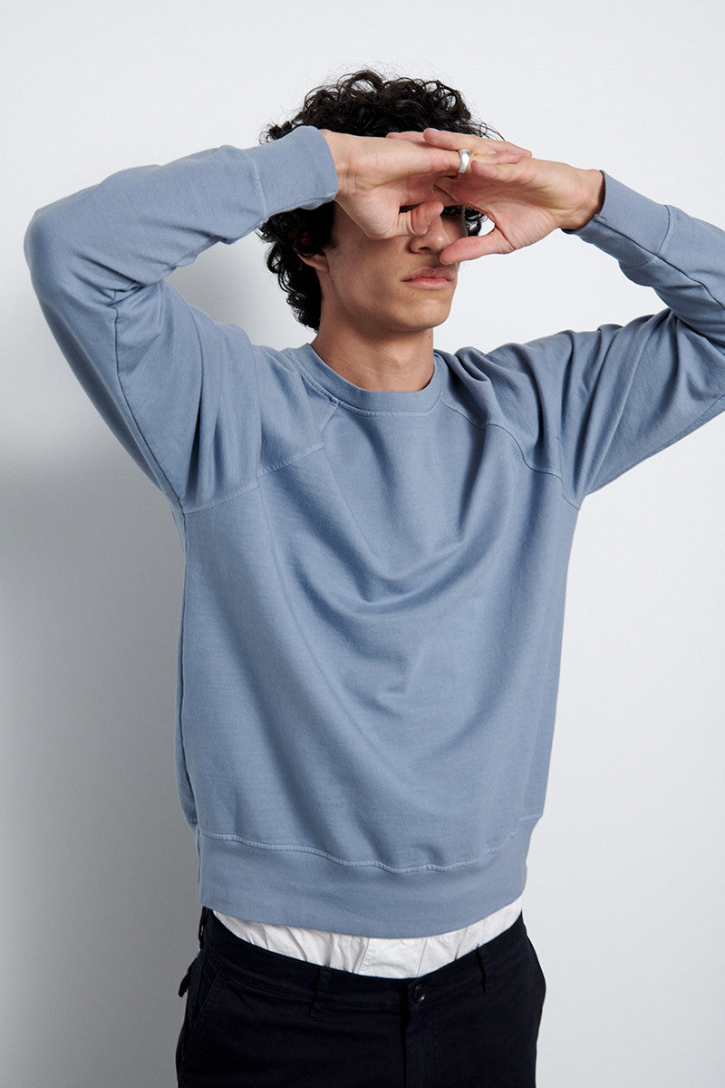 Sudadera de algodón con manga ranglan - Shark